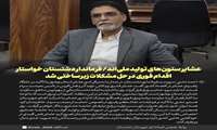 عشایر ستون‌های تولید ملی‌اند/ فرماندار دشتستان خواستار اقدام فوری در حل مشکلات زیرساختی شد