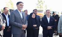 حضور فرماندار دشتستان در جشنواره فرهنگی ورزشی 'دا'/ دیدار با خانواده شهدا / حضور فرماندار در گلزار شهدای رود فاریاب 
